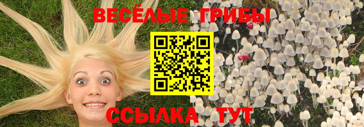 Белая Калитва  Галлюциногенные грибы прущие грибы  закладка  Псилоцибиновые грибы прущие грибы  Вход с VPN 